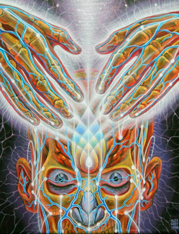 Sacred Mirrors: The Visionary Art of Alex Grey by Alex Grey