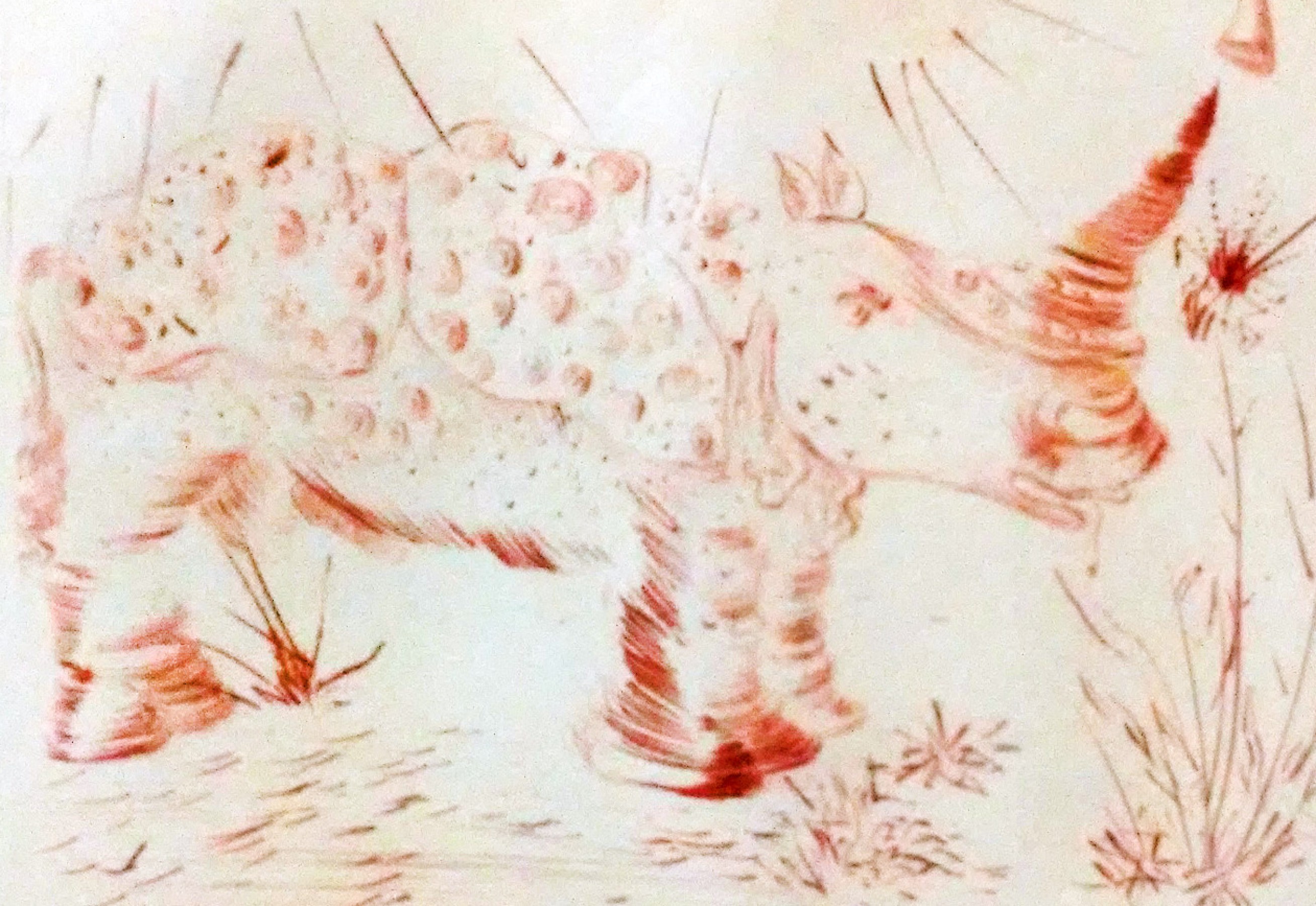 salvador dali rhinoceros drawing