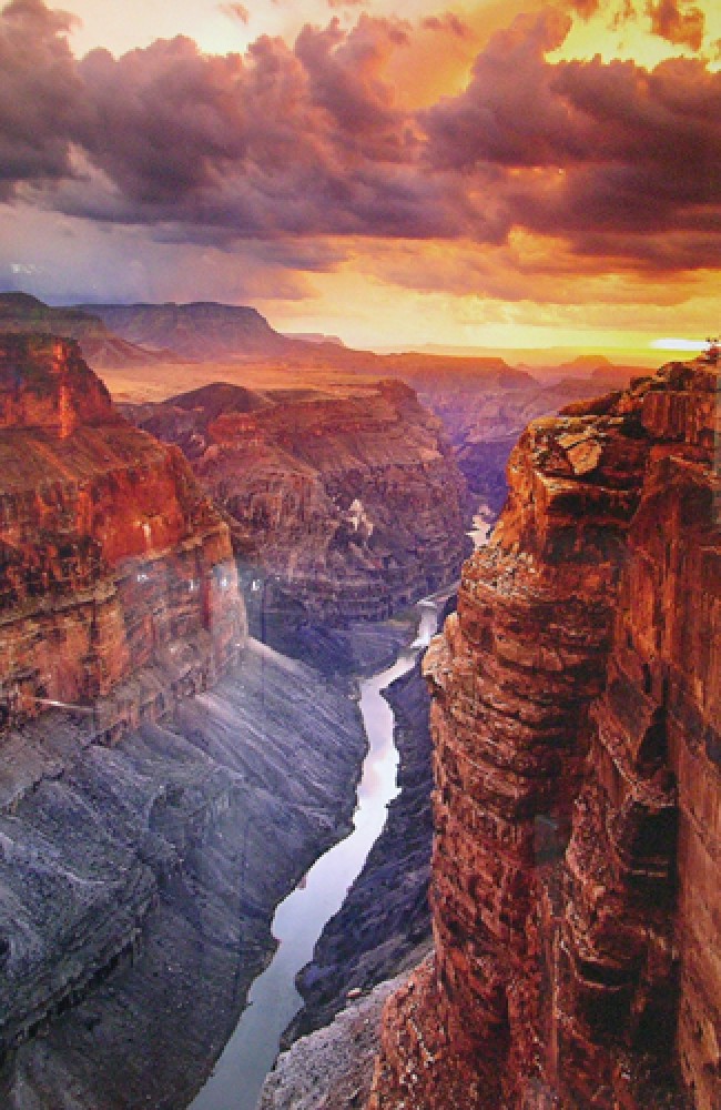 Solace Peter Lik