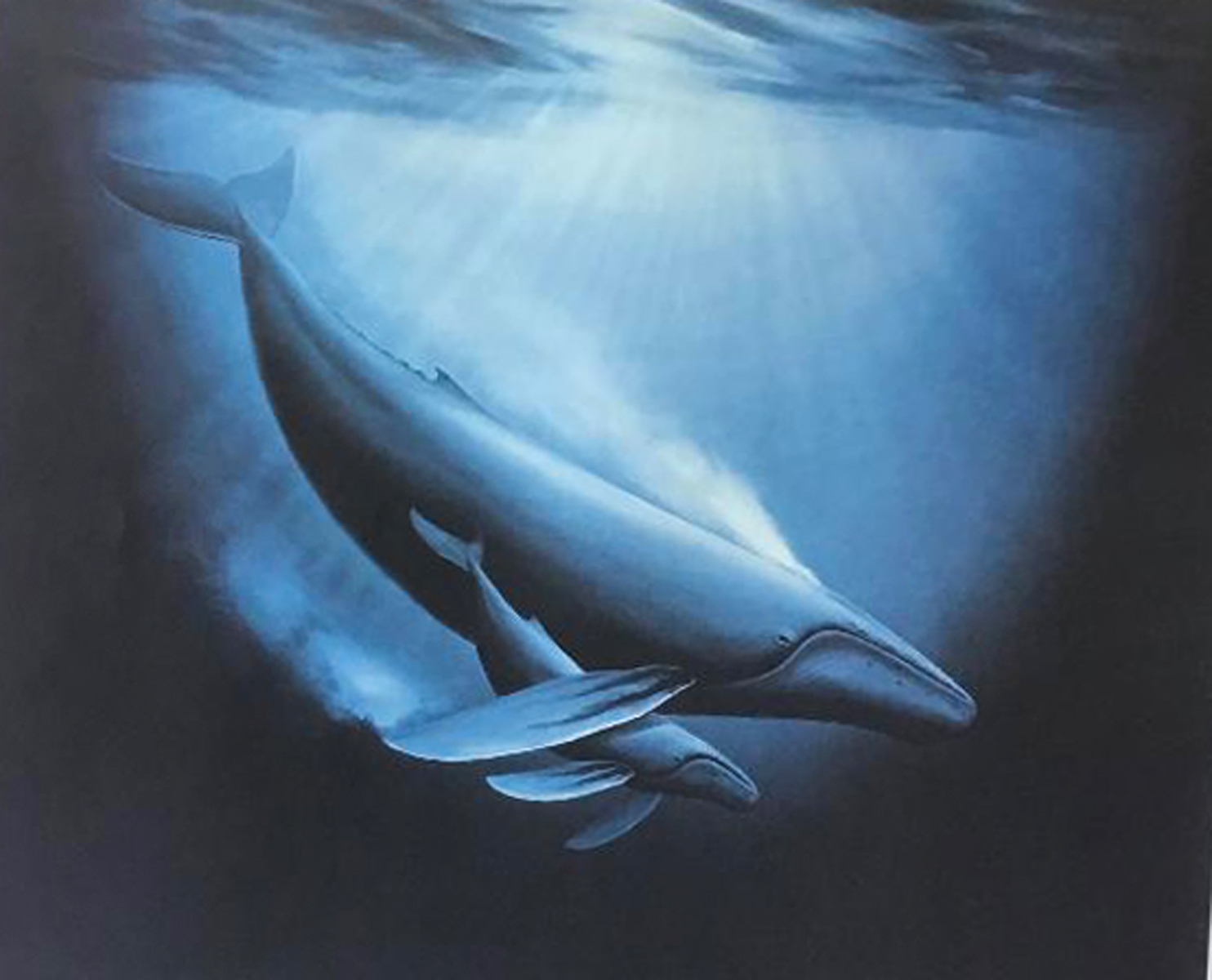 Robert Wyland Art for Sale