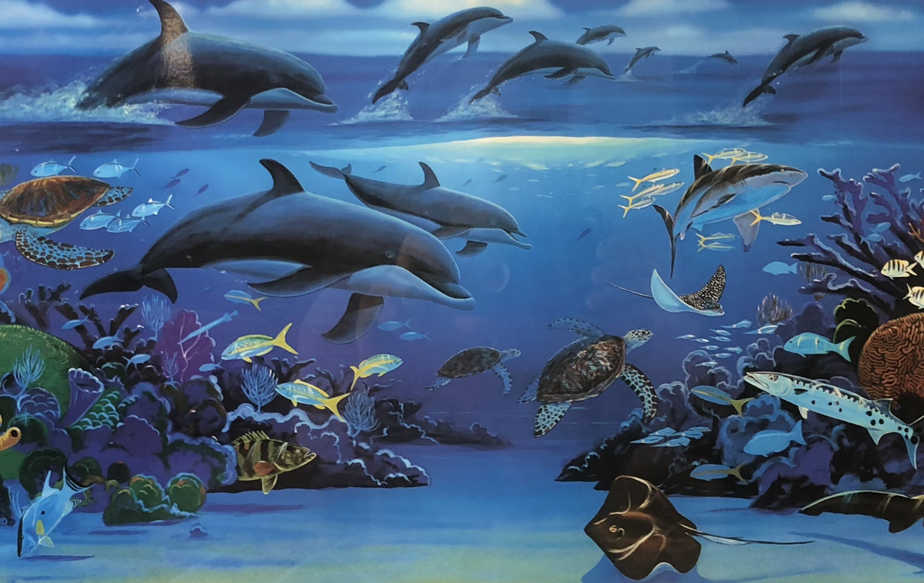 Robert Wyland Art for Sale