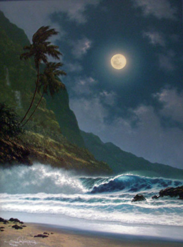 Midnight Enchantment Hawaii 2000 by Roy Tabora